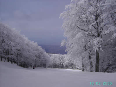 Vista della pista Direttissima